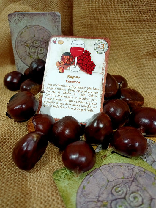 ULTREIA  (CASTELLANO)